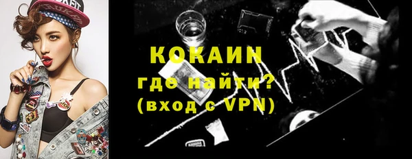 сатива Инсар