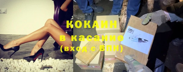 сатива Инсар