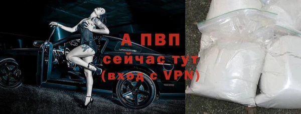 прущая мука Инта