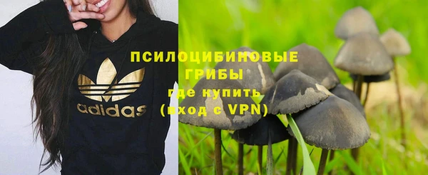 сатива Инсар