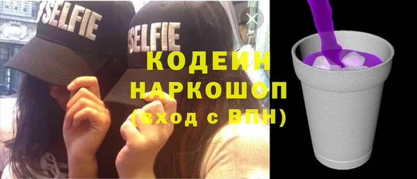 сатива Инсар