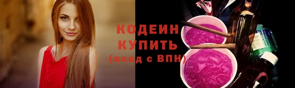 сатива Инсар