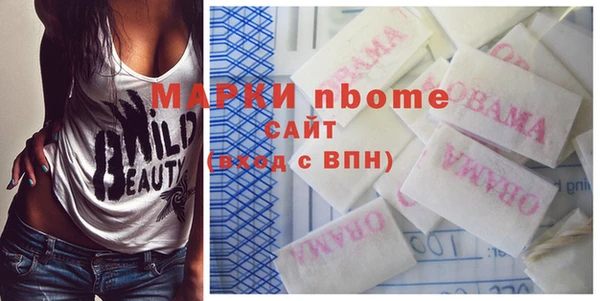 сатива Инсар