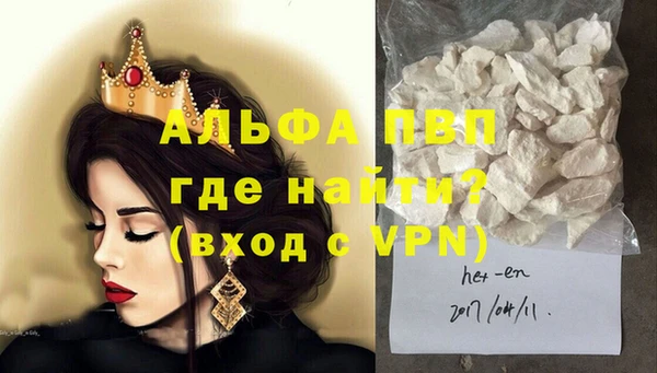 сатива Инсар