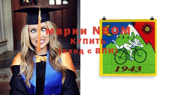сатива Инсар