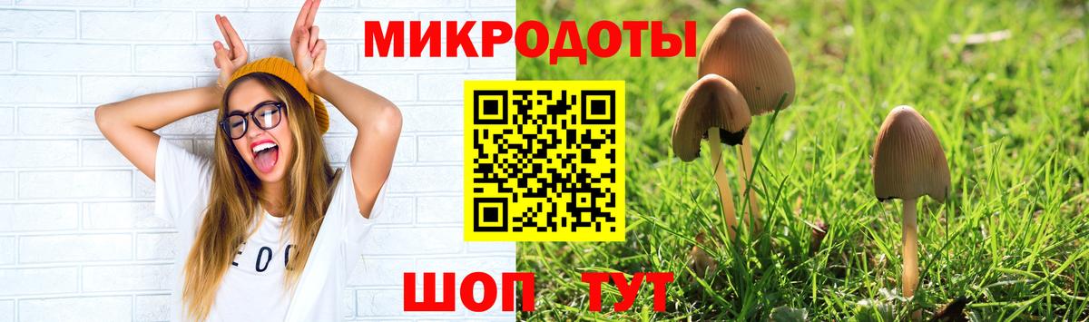 Галлюциногенные грибы MAGIC MUSHROOMS  Вход с VPN  Зерноград 