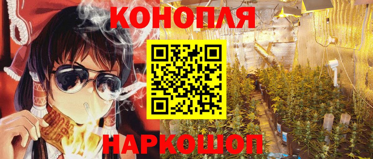 Канабис семена Зерноград